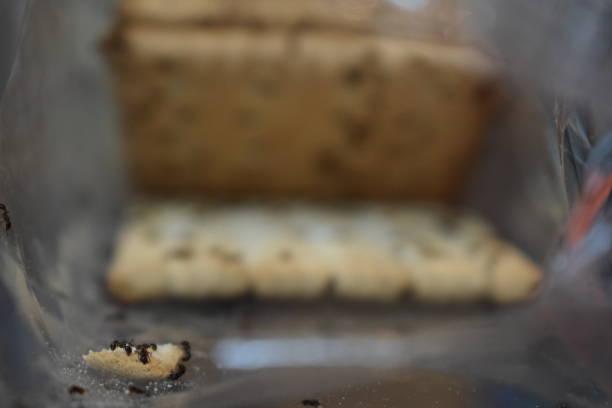 istock Problem with ants in the household, ants in a plastic bag with cookies, eating 1149026767