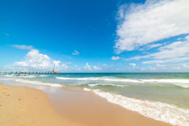 Sandy shore and cement pier in world famous Daytona Beach Sandy shore and cement pier in world famous Daytona Beach. Florida, USA daytona beach stock pictures, royalty-free photos & images