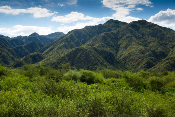 View of Valle Fertil Provincial Natural Park on summer day. San Juan, Argentina
