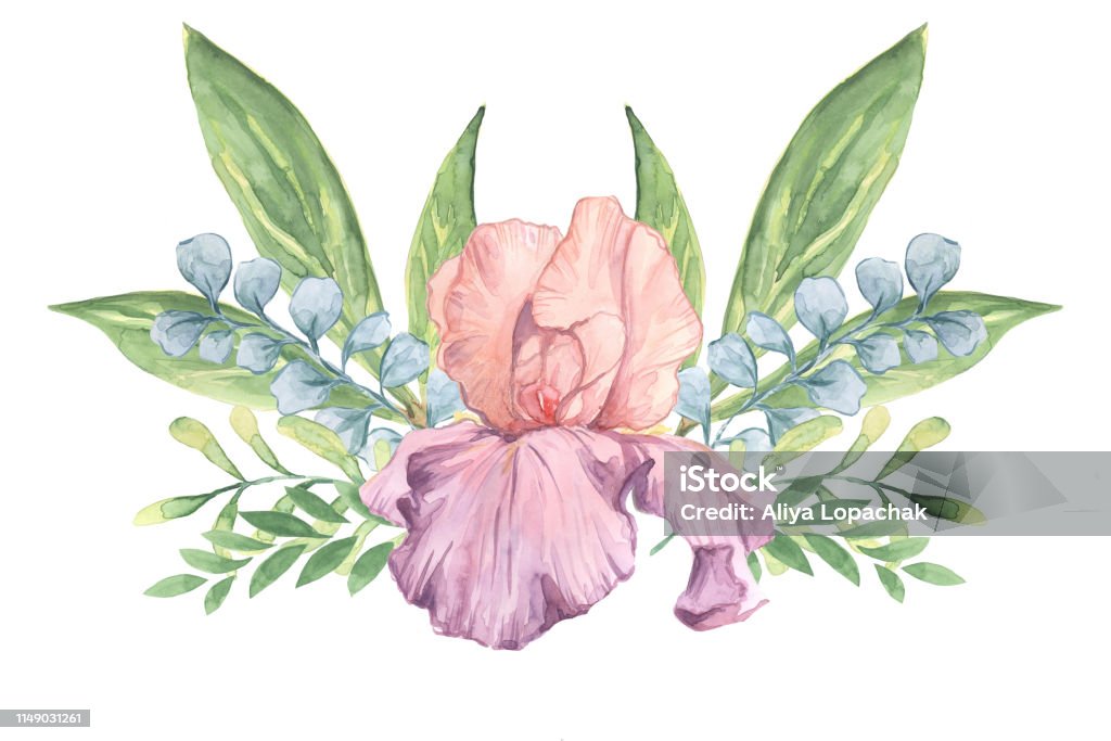 Iris flor de la acuarela Medici Príncipe ilustración con ramitas para la decoración - Ilustración de stock de Acuarela en papel libre de derechos