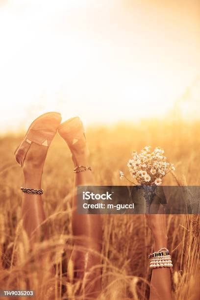 Mädchen Das Blumen Hält Und In Einem Weizenfeld Liegt Stockfoto und mehr Bilder von Agrarbetrieb