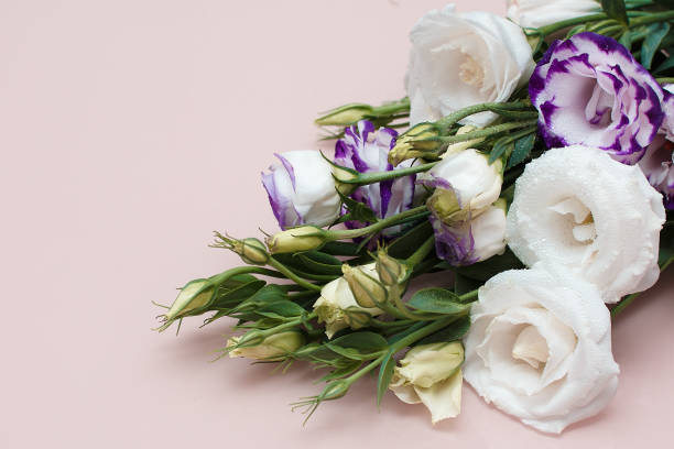 istock Fresh flowers frame on pink background. White and purple eustomas 1149037934