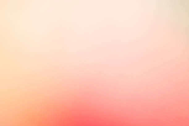 istock Abstract floral blurred background. Tropical flower 1149038588
