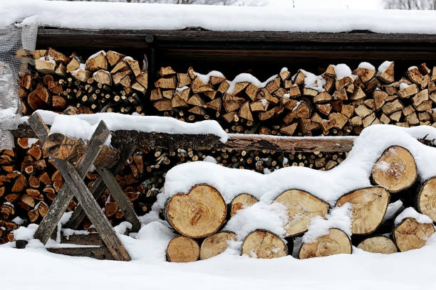 istock Chopped firewood woodpile 1149038916