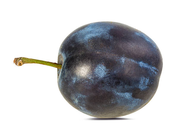 istock Plum isolated on white background with clipping path 1149039614