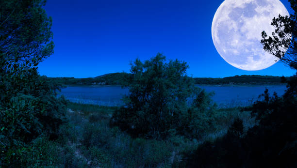 istock Landscape at the lake at night 1149039637