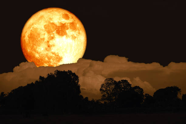 istock buck blood moon on night sky back over silhouette forest 1149040290