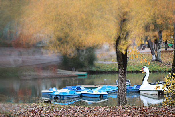 Lake in park - Maksimir, Zagreb