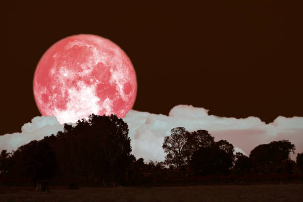 istock full hay moon on night sky back over silhouette forest 1149040789