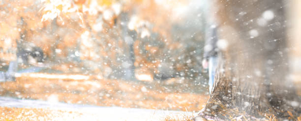 istock Background autumn park in the first snow 1149043589