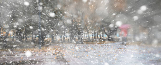istock Background autumn park in the first snow 1149044799