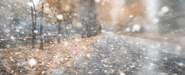 istock Background autumn park in the first snow 1149048051