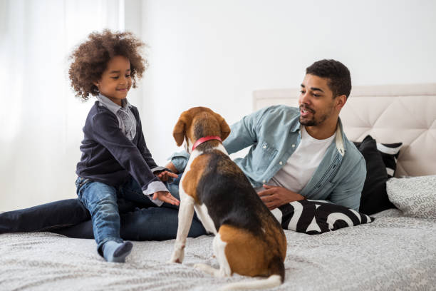 istock Our best friend 1149049342