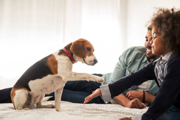 istock I love my pet 1149049352