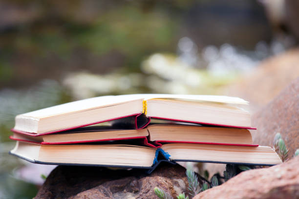 istock book stone river succulent plant background nobody 1149050519