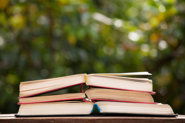 istock book wooden table tree bokeh nobody 1149050522