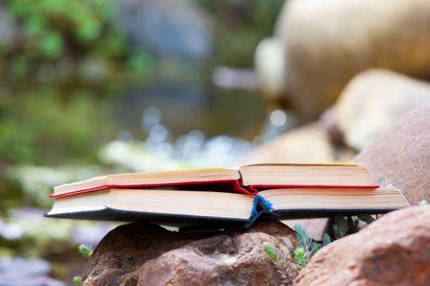 istock book stone river succulent plant background nobody 1149050662