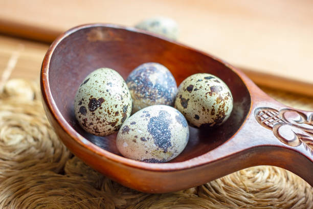 Fresh raw quail eggs in wooden spoon on rustic straw and wooden vintage background Fresh raw quail eggs in wooden spoon on rustic straw and wooden vintage background. coturnix quail stock pictures, royalty-free photos & images