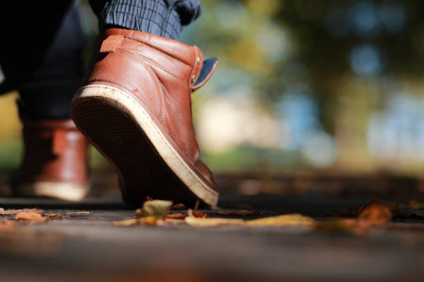 istock Autumn Park man walking along a path foliage 1149051407