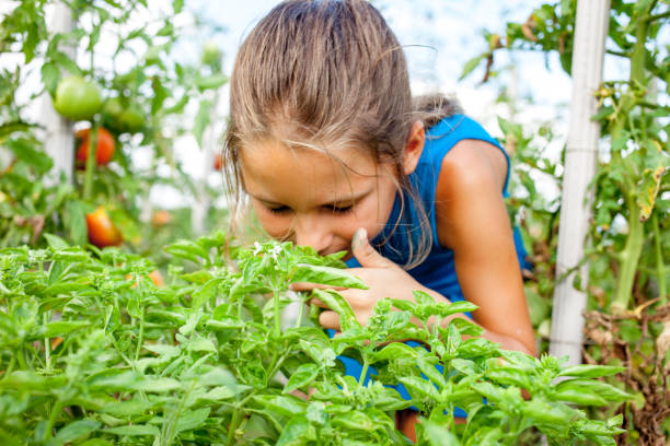 istock Young Girl Enjoying in Vegetable Garden 1149052433