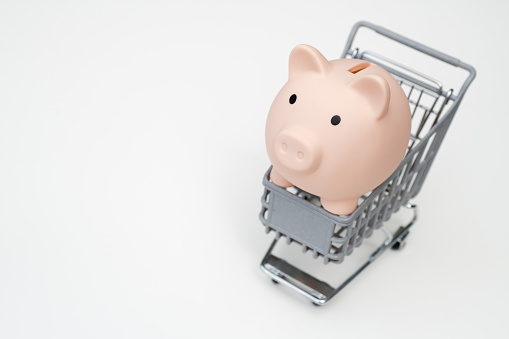 Piggy bank in shopping cart isolated on white background. Saving money for grocery store concept.