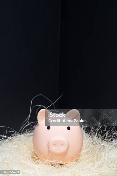 Cute Little Piggy Bank In A Black Corner Standing On Hay Stock Photo - Download Image Now