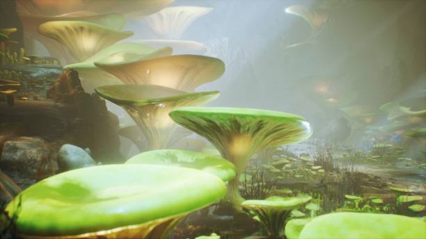 istock Fantasy mushrooms in a magic forest. Beautiful magic mushrooms in the lost forest and fireflies on the background with the fog. 3D Rendering 1149056061