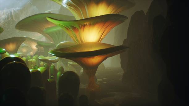 istock Fantasy mushrooms in a magic forest. Beautiful magic mushrooms in the lost forest and fireflies on the background with the fog. 3D Rendering 1149056072