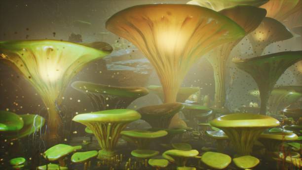 istock Fantasy mushrooms in a magic forest. Beautiful magic mushrooms in the lost forest and fireflies on the background with the fog. 3D Rendering 1149056084