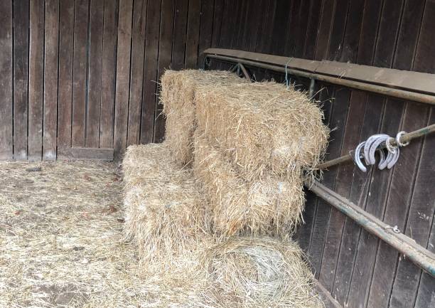 istock Horseshoes and hay in a stable 1149056299