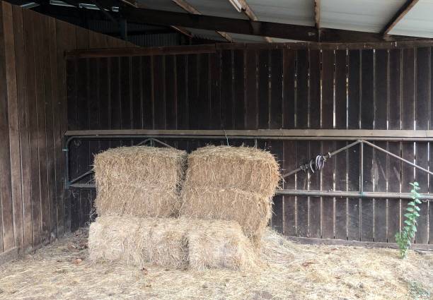 istock Horseshoes and hay in a stable 1149056306