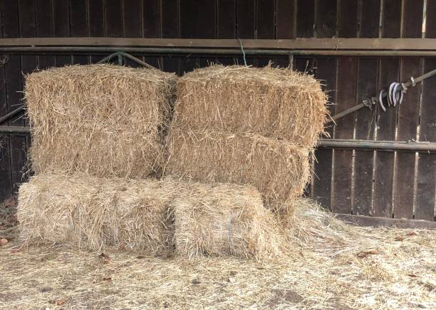 istock Horseshoes and hay in a stable 1149056363