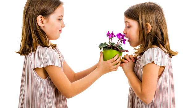 istock Identical twin girl is smelling flower - gift from sister. 1149056830