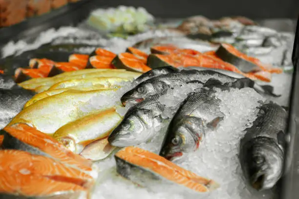 Close up of cooled seafood - trout, sockeye, sea bass, in the market of a fish shop, supermarket, horizontal frame, side view