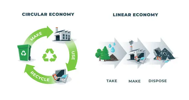 Vector illustration of Circular and Linear Economy Compared