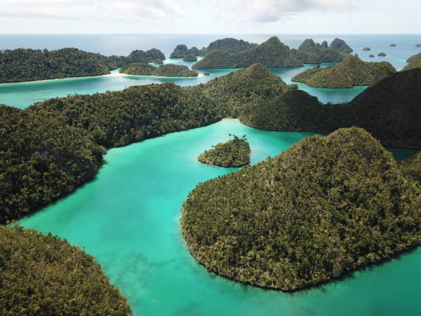 istock Pianemo island raja ampat papua Indonesia 1149058347