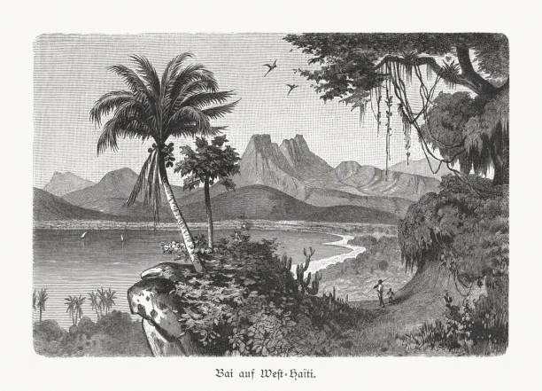 1897에 출판 된 서 부-아이티, 목 판화의만 - haiti stock illustrations
