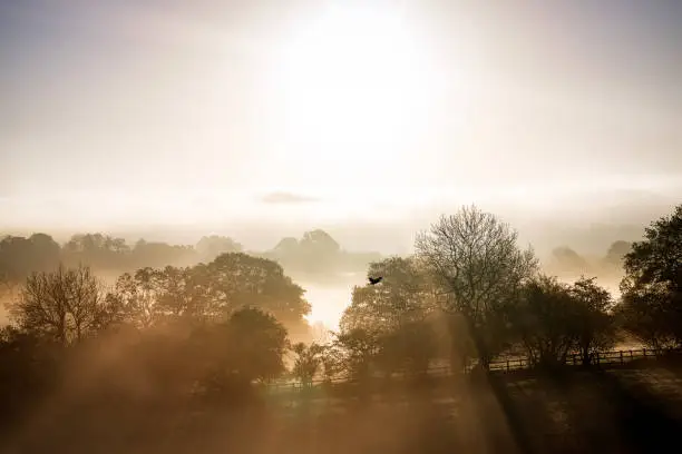 Photo of Morning Mist in Warwickshire