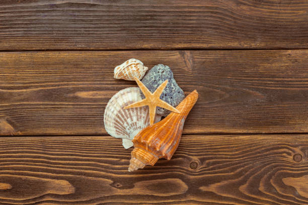 istock Beach accessories on wooden board 1149062305