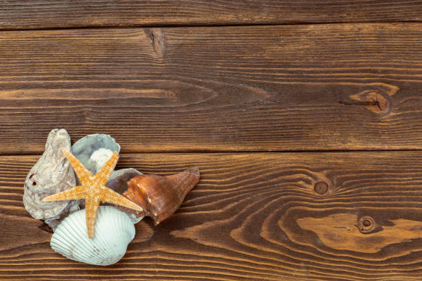 istock Beach accessories on wooden board 1149062668