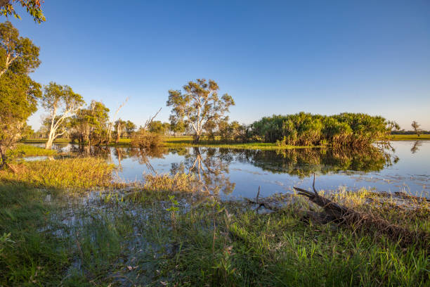 istock Billabong in the australian outback 1149062690