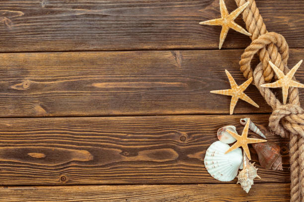 istock Seashells border on wood. Marine background 1149062702