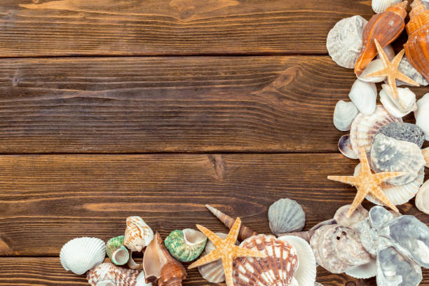 istock Beach accessories on wooden board 1149062812