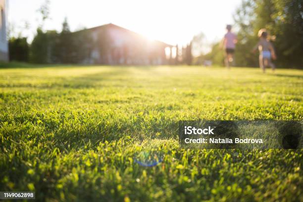 Lawn At Home Running Children In Blur On A Sunny Summer Day Stock Photo - Download Image Now