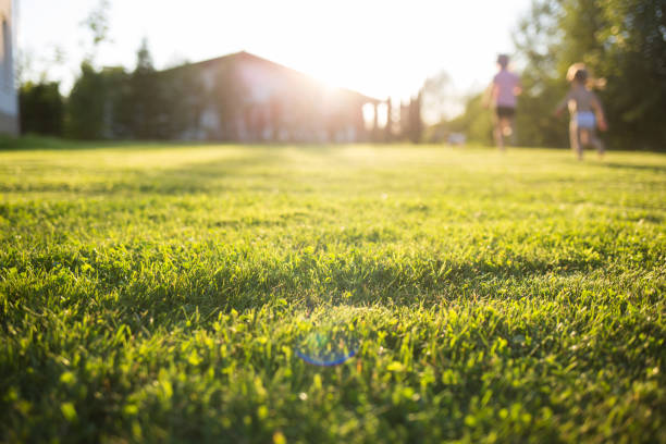 lawn at home. running children in blur. on a sunny summer day. - lawn imagens e fotografias de stock