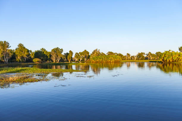 istock Billabong in the australian outback 1149064149