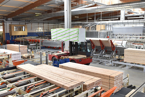 woodworking/ sawmill: production and processing of wooden boards in a modern industrial factory - assembly line in production