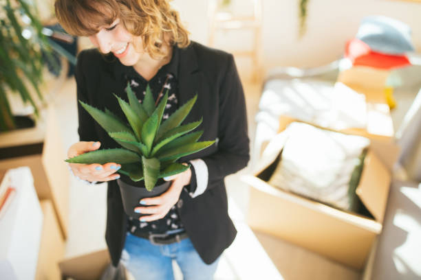 istock Where to put my plant ? 1149066469