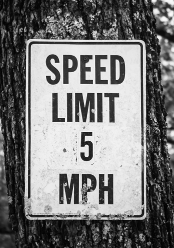Speed limit 5 MPH sign in Dahlonega, Georgia.
