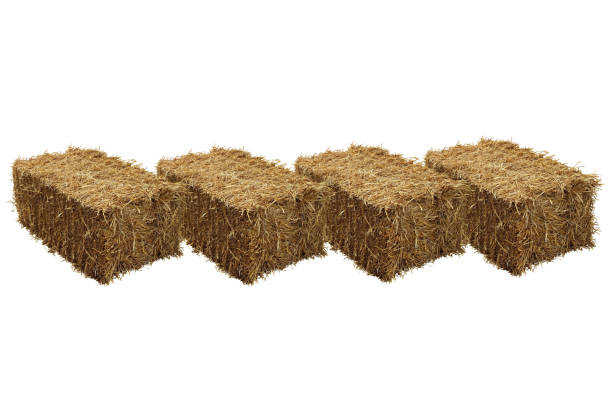 istock Image of rice straw briquette, white background. 1149068347
